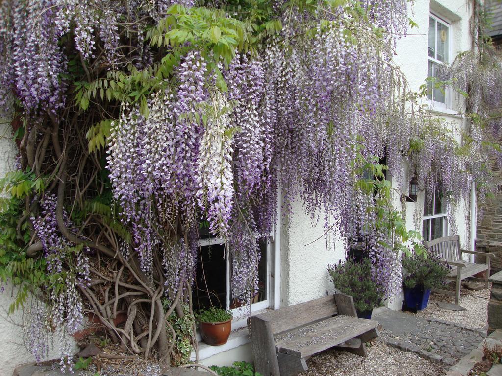 Apartmán Half Moon House Hay-On-Wye Exteriér fotografie